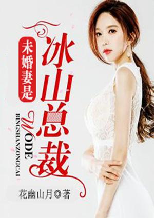 启明星弟弟刘楠小说封面