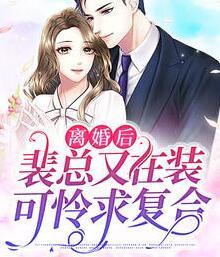 穆婉清裴司臣小说免费阅读封面