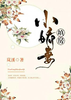 填房小娇妻封面